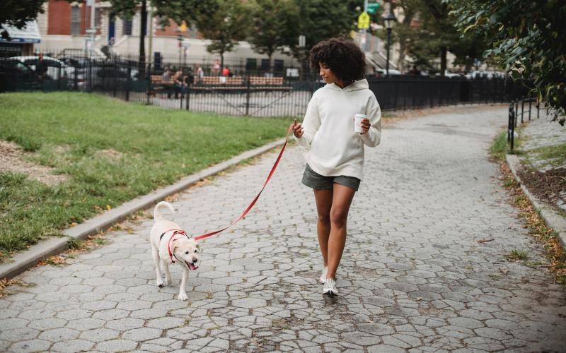 a person walking a dog on a leash