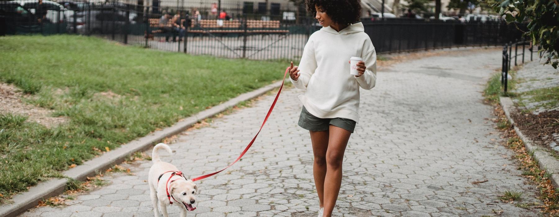 a person walking a dog on a leash